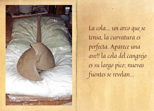 cuad-5cang-36